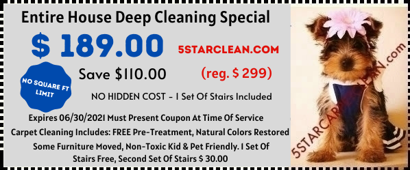 Entire House Deep Clean Special
