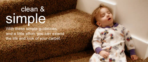 Preserve your carpet with 5 Star's industry leading carpet cleaning.